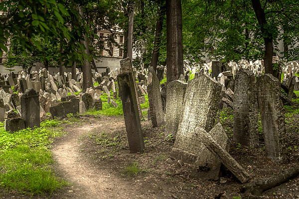 Židovský hřbitov, Praha, vycházka 22. 1. (zdroj PCT Praha)