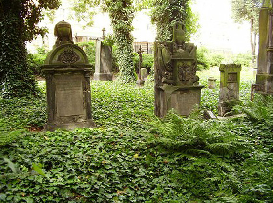 Malostranský hřbitov, vycházka 14. 6. (zdroj www.malostranskyhrbitov.cz/foto © Ivo Řehák)