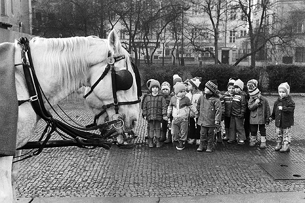 T. Vocelka, Staroměstké náměstí, 1986