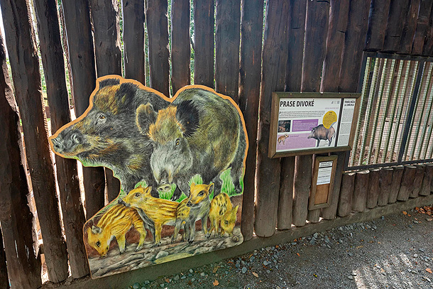 Lesní zookoutek Malá Chuchle (foto Marek Mejstřik)