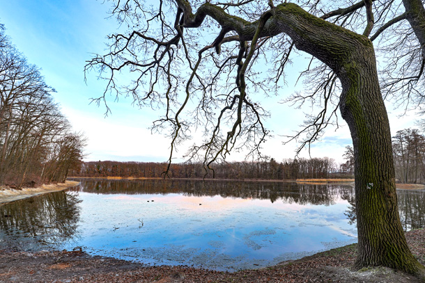 Hostivický rybník Kala (foto Marek Mejstřík)